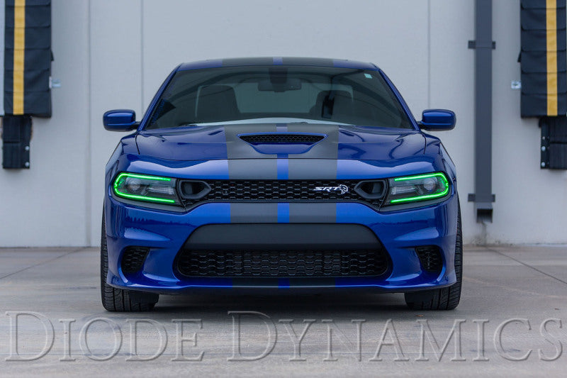 Diode Dynamics RGBW DRL LED Boards for 2019-2021 Dodge Charger