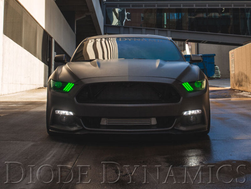 Diode Dynamics 15-17 Ford Mustang RGBW DRL LED Boards