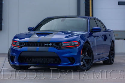 Diode Dynamics RGBW DRL LED Boards for 2019-2021 Dodge Charger