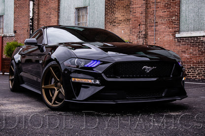 Diode Dynamics 18-23 Ford Mustang RGBW DRL LED Boards