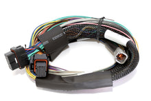 Load image into Gallery viewer, Haltech Elite 2500 8ft Basic Universal Wire-In Harness (Excl Relays or Fuses)